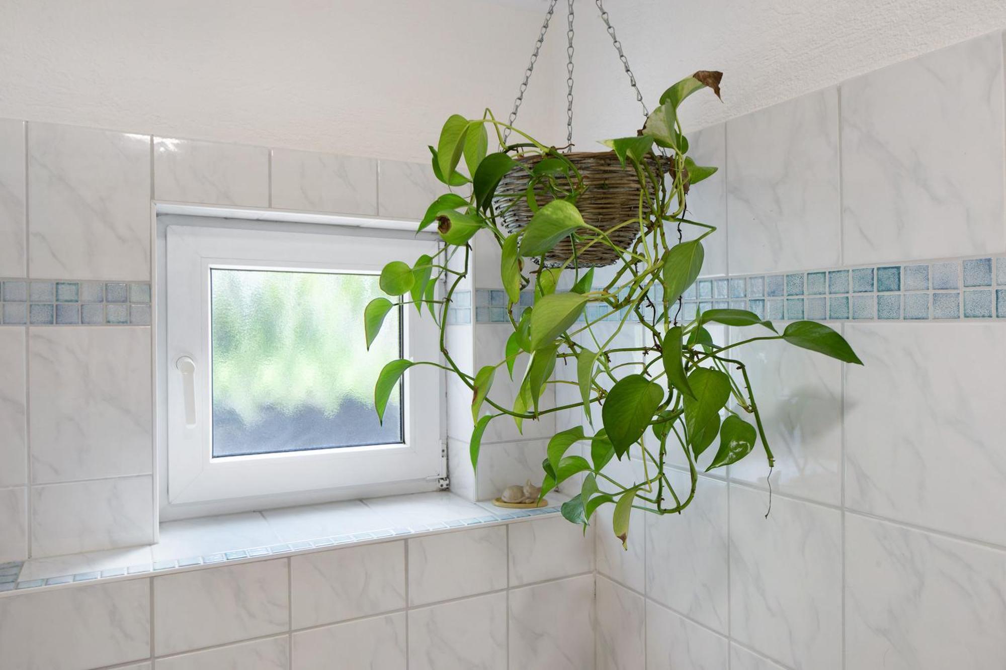 Ferienwohnung Zur Schauinslandbahn Horben Bagian luar foto